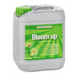 Ecolizer Bloom Up 5 L