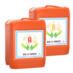 Bio-G-Power Basis A+B 10 L