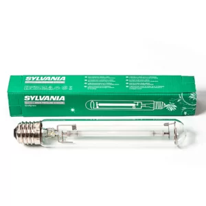 Sylvania Bulpen